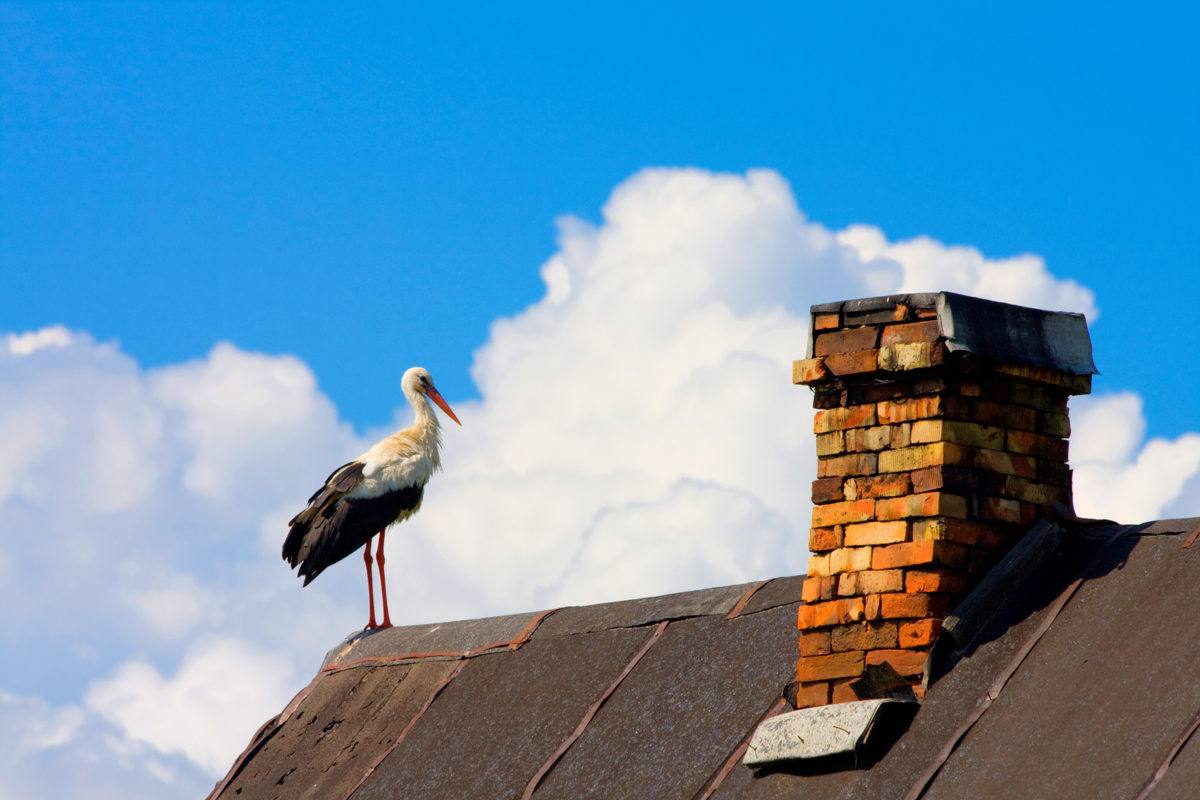 Avoid Chimney Repair With Removal