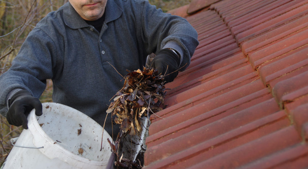 spring cleaning checklist, household chores, home maintenance